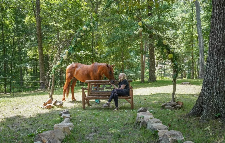 A quiet seat beneath the trees with a horse nearby